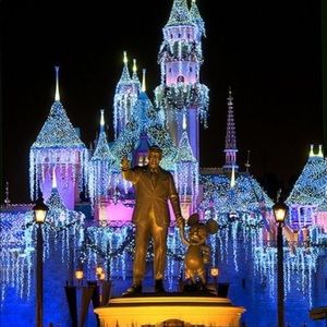 Meet your Posher, Brady